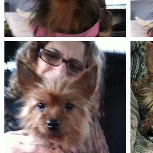 Meet your Posher, Cindy